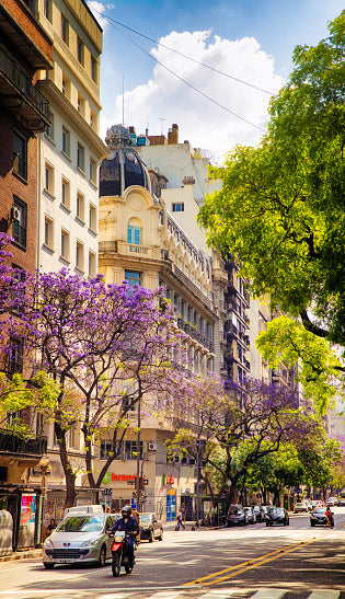 Cruce de lagos Chile - Argentina