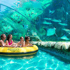 2 days 2 park, SeaWorld, Busch Gardens, or Aquatica